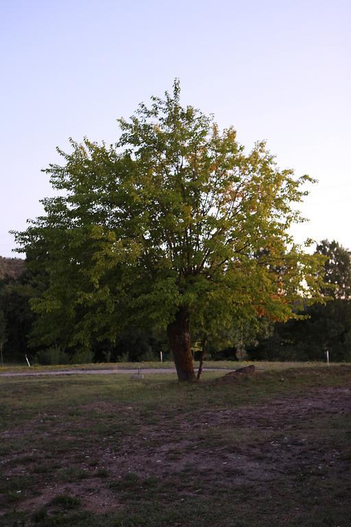 Ardeche - Gites Objectif Evasion Montréal Kültér fotó